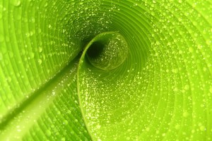世界举重青训营康复训练教材与师资库年度更新说明，世界举重协会官网