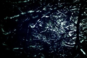 世界体操公开赛：技术与艺术并重受评委推崇，世界体操锦标赛2021金牌榜