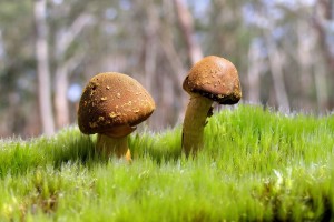 世界乒乓球联赛青训导师国际轮岗与交流资料集第四版上线，世界乒乓球职业联赛