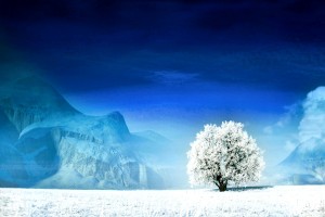 世界举重青训营康复训练教材最新版上线说明，世界举重协会官网