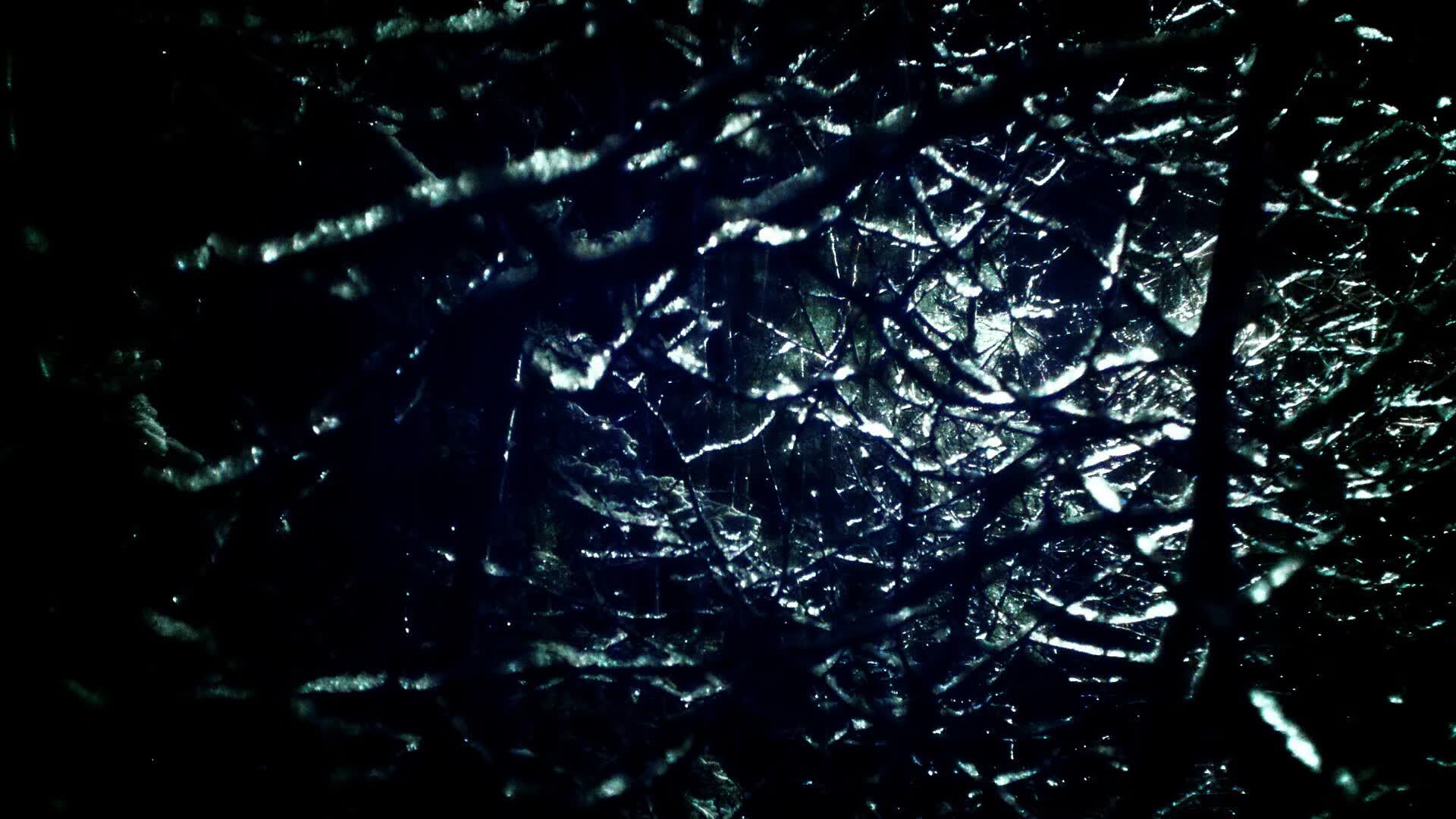 世界体操公开赛：技术与艺术并重受评委推崇，世界体操锦标赛2021金牌榜